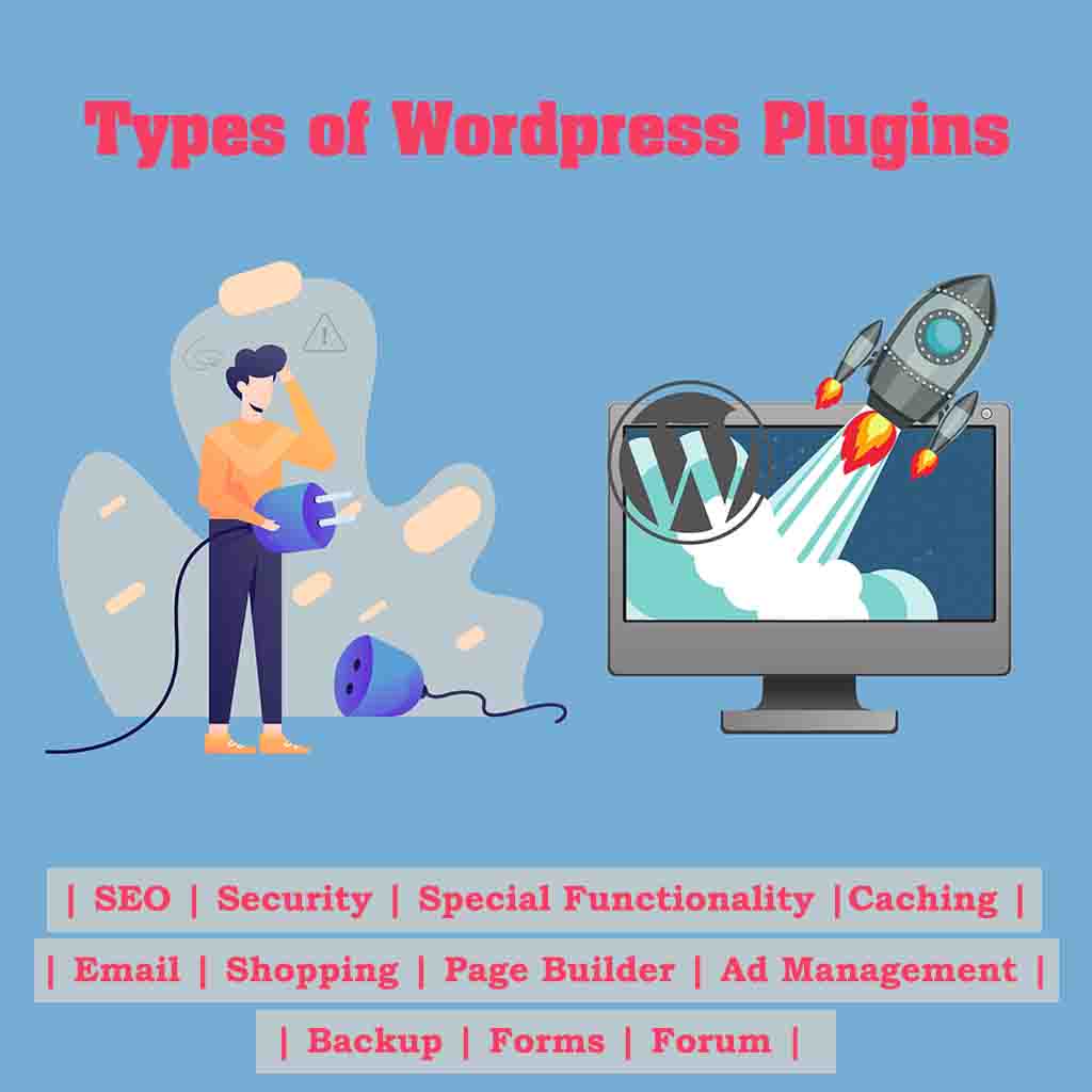 Types of wordpress plugins