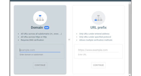 Domain and URL Prefix Properties